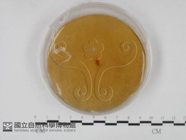 登錄號:F0015223藏品圖，第3張