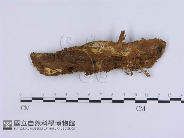 登錄號:F0003223藏品圖，第3張