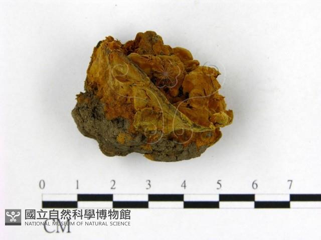登錄號:F0017923藏品圖，第3張