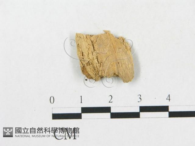 登錄號:F0019923藏品圖，第1張