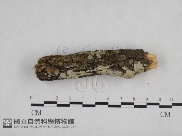 登錄號:F0003923藏品圖，第3張
