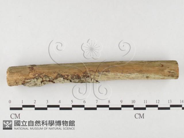 登錄號:F0026623藏品圖，第3張