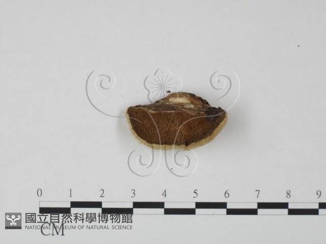 登錄號:F0006623藏品圖，第3張