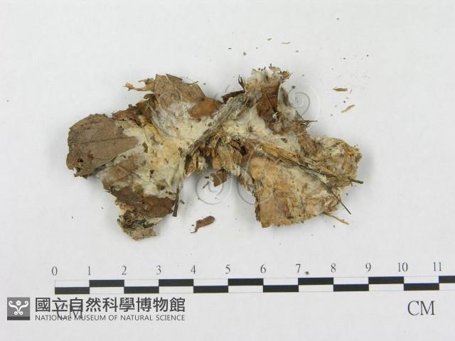 登錄號:F0015623藏品圖，第3張