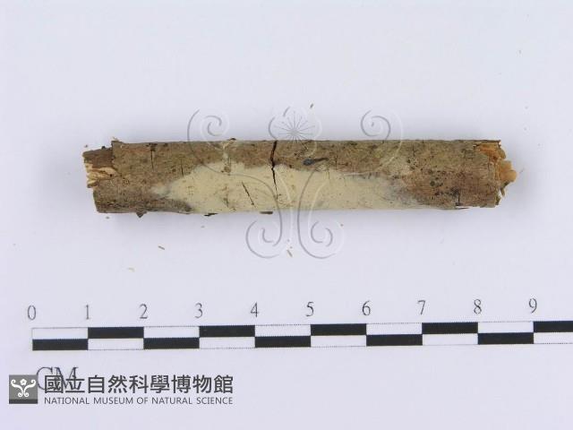 登錄號:F0003623藏品圖，第3張