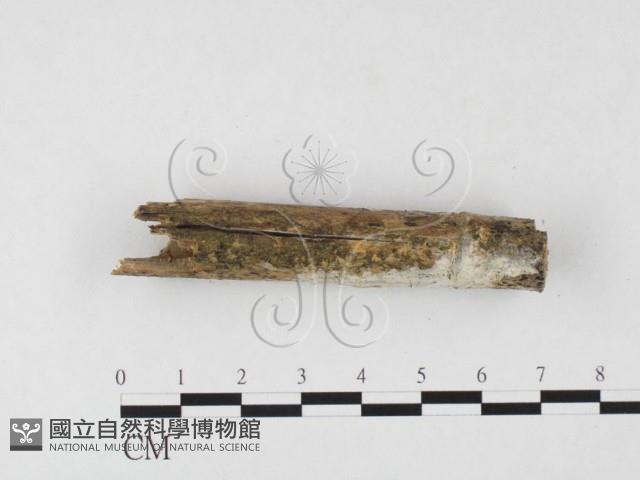 登錄號:F0026723藏品圖，第3張