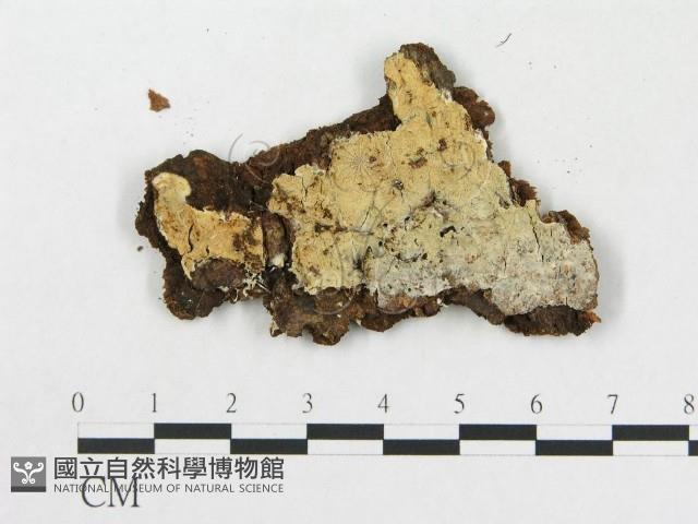 登錄號:F0016723藏品圖，第3張