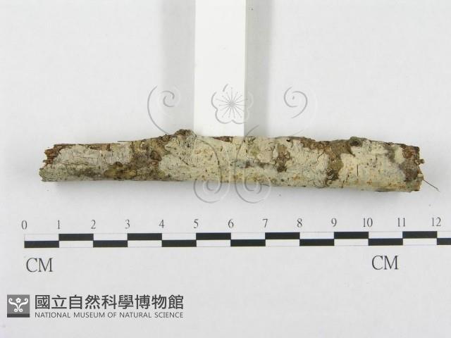 登錄號:F0002723藏品圖，第3張