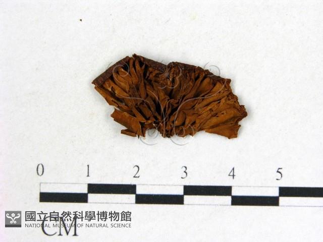 登錄號:F0017723藏品圖，第3張