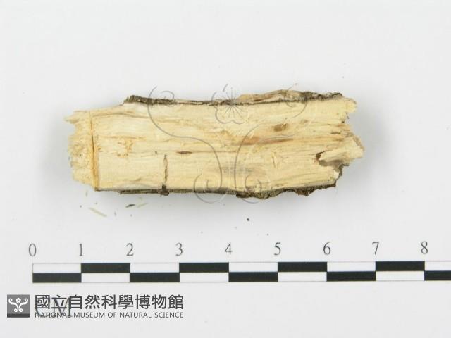 登錄號:F0010523藏品圖，第3張