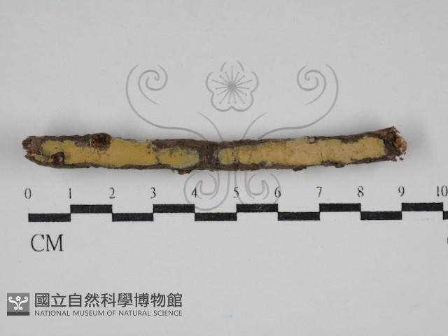 登錄號:F0030523藏品圖，第3張