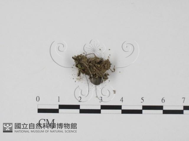 登錄號:F0016523藏品圖，第3張