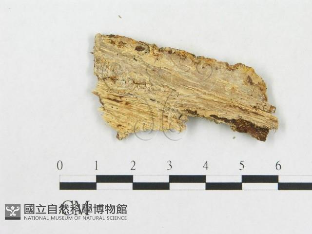 登錄號:F0009523藏品圖，第3張