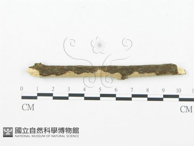 登錄號:F0003123藏品圖，第3張