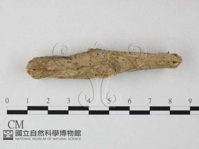 登錄號:F0001023藏品圖，第3張