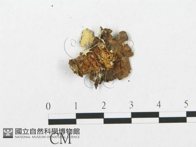 登錄號:F0005023藏品圖，第3張