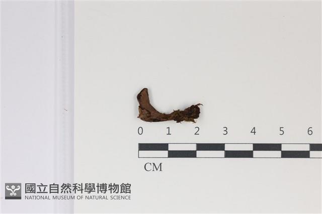 登錄號:F0035023藏品圖，第3張