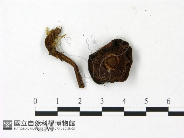 登錄號:F0023023藏品圖，第3張