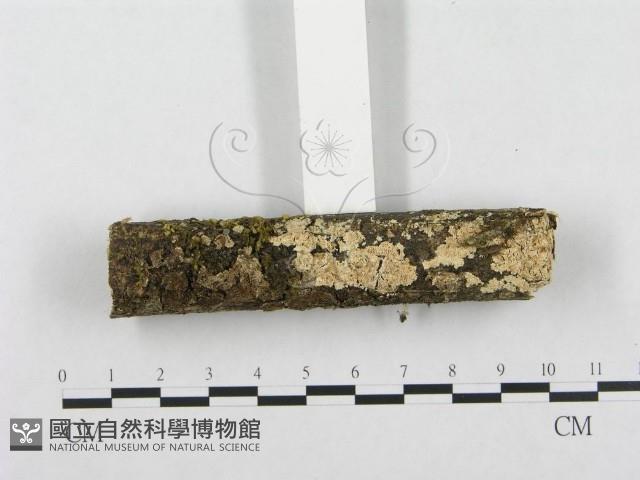 登錄號:F0001203藏品圖，第3張