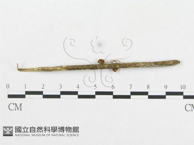 登錄號:F0011203藏品圖，第3張