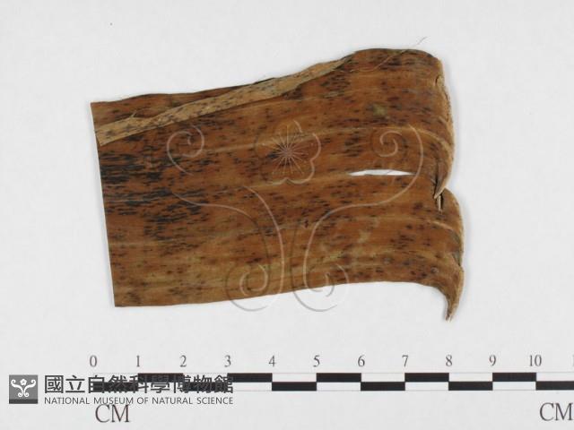 登錄號:F0026803藏品圖，第3張