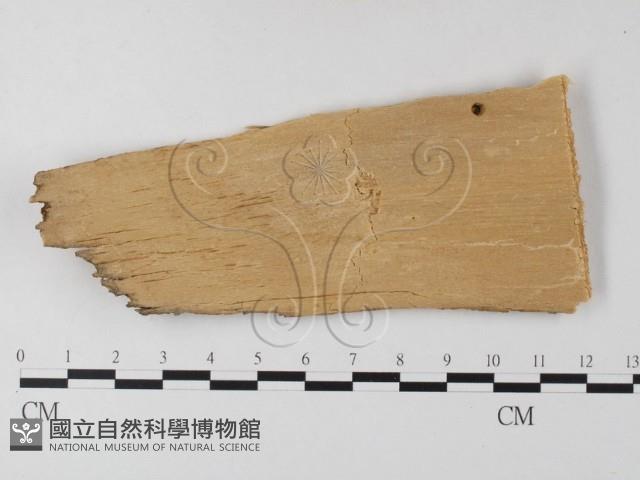 登錄號:F0021803藏品圖，第3張