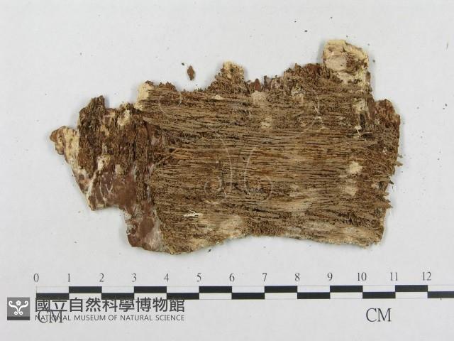 登錄號:F0000903藏品圖，第3張