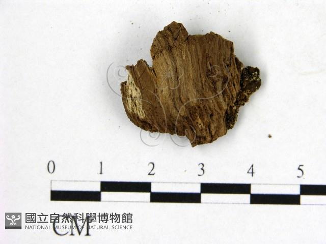 登錄號:F0019903藏品圖，第3張