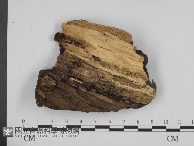 登錄號:F0003903藏品圖，第3張