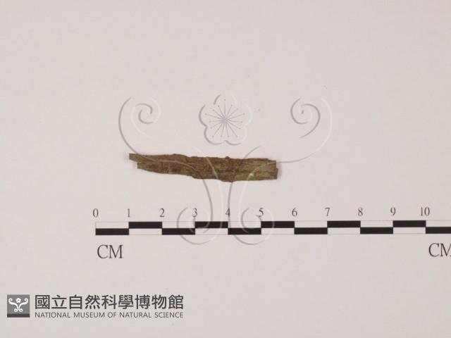 登錄號:F0002603藏品圖，第3張