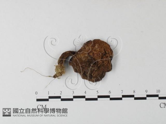 登錄號:F0023603藏品圖，第3張
