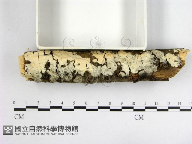 登錄號:F0002403藏品圖，第3張