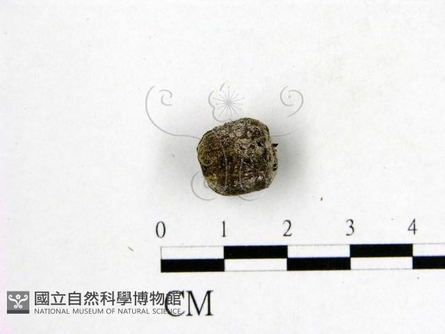 登錄號:F0016503藏品圖，第3張