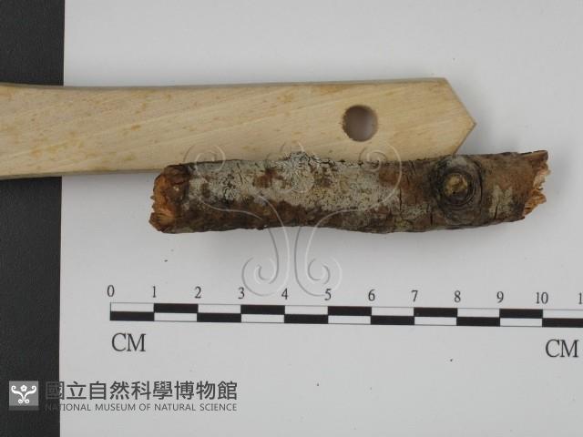 登錄號:F0001103藏品圖，第3張