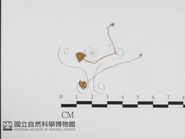登錄號:F0024103藏品圖，第3張