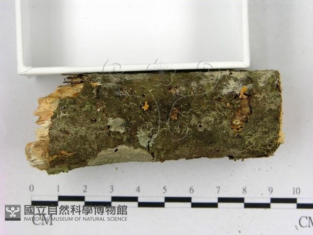 登錄號:F0022103藏品圖，第3張