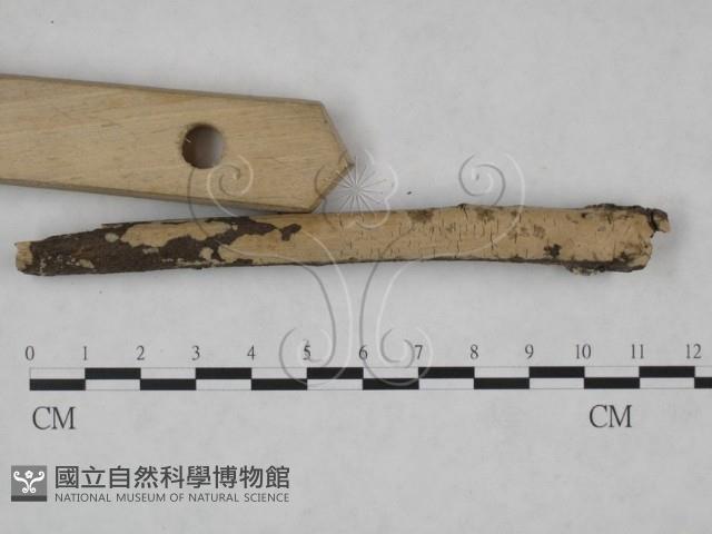 登錄號:F0025103藏品圖，第3張