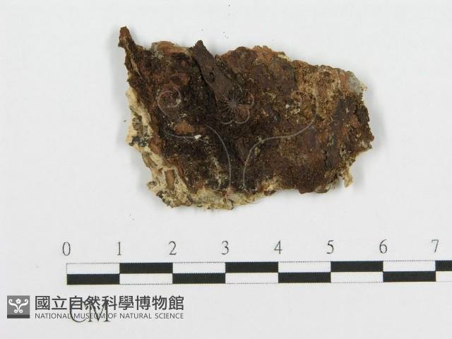 登錄號:F0014003藏品圖，第3張