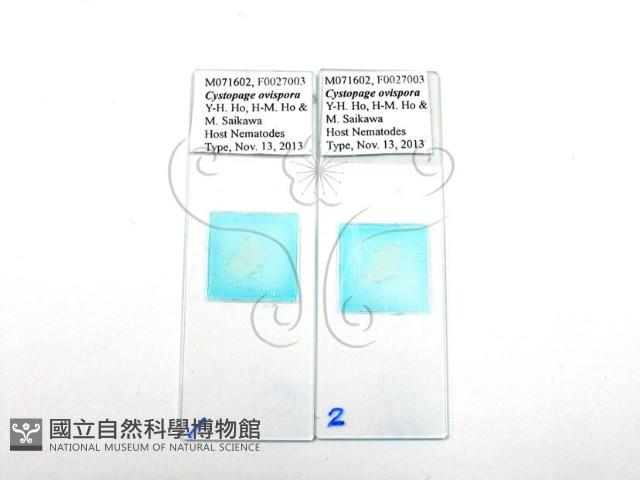 登錄號:F0027003藏品圖，第1張