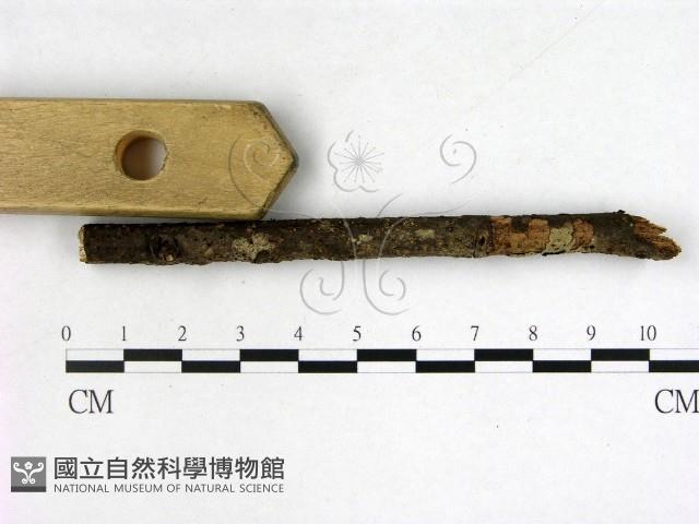 登錄號:F0001303藏品圖，第3張