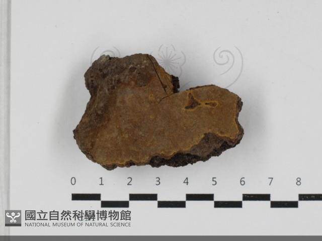 登錄號:F0033303藏品圖，第3張