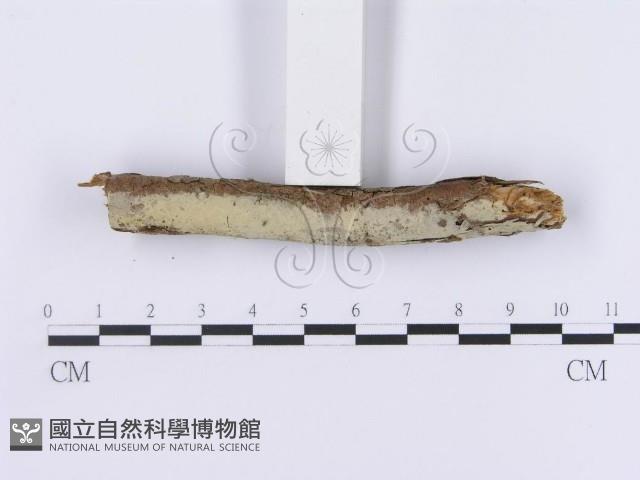 登錄號:F0001213藏品圖，第3張