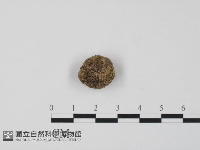 登錄號:F0017213藏品圖，第3張