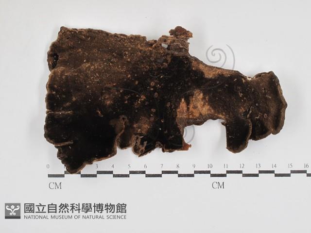 登錄號:F0030813藏品圖，第3張