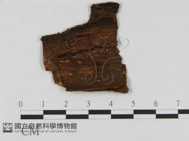 登錄號:F0016813藏品圖，第3張