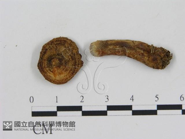 登錄號:F0002613藏品圖，第3張