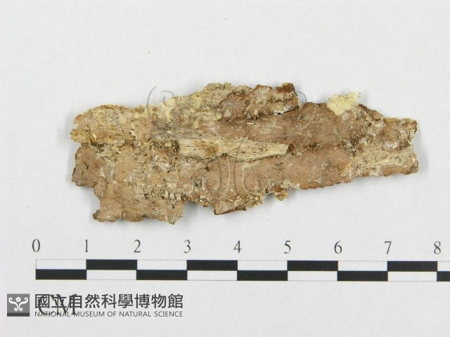 登錄號:F0017413藏品圖，第1張