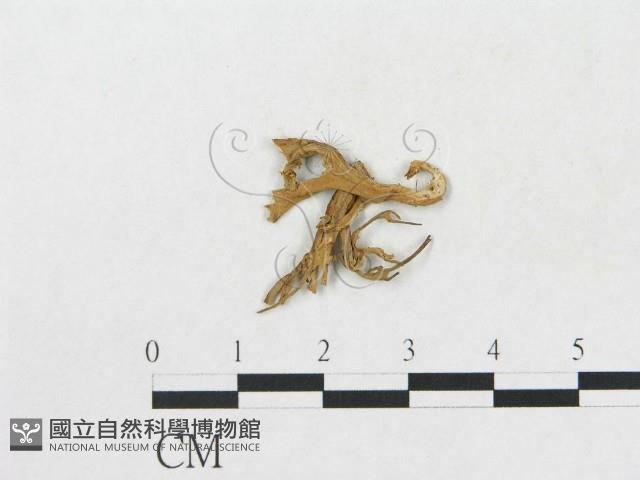 登錄號:F0001713藏品圖，第3張
