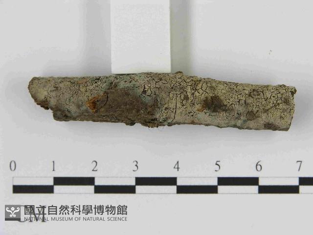 登錄號:F0014713藏品圖，第3張