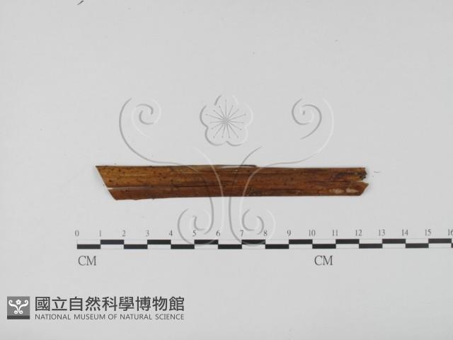 登錄號:F0007713藏品圖，第3張